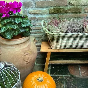 villa-casa-gaia.it-tuscanyhotel.com/